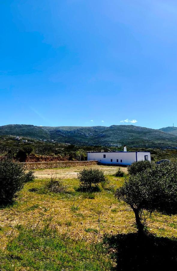 Tetrapolis Cottage Arkasa Dış mekan fotoğraf